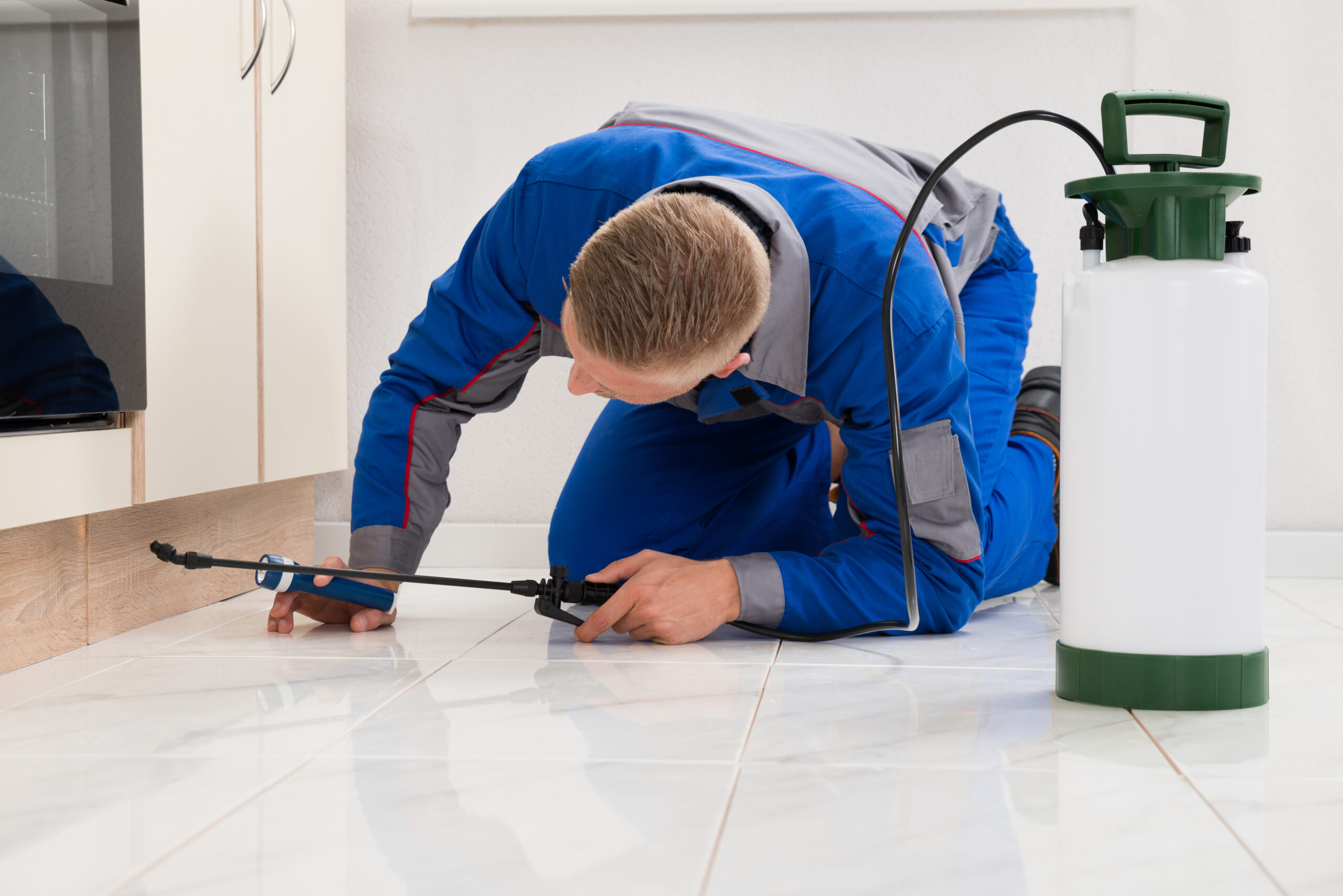 Pest Service Melbourne